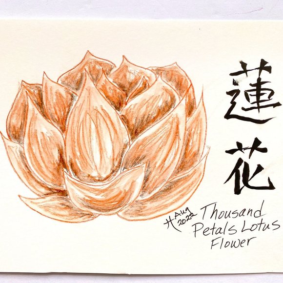 Thousand Petal Lotus - Original Wall Art Handmade Asian Calligraphy Matted 9x12 - Picture 1 of 4